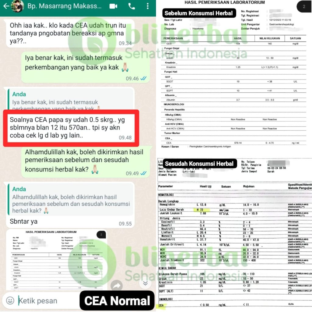 WhatsApp-Image-2026-01-13-at-15.20.11-1-1-1024x1024