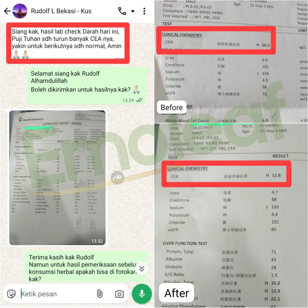 WhatsApp-Image-2026-01-13-at-15.20.11-2-1-1024x1024