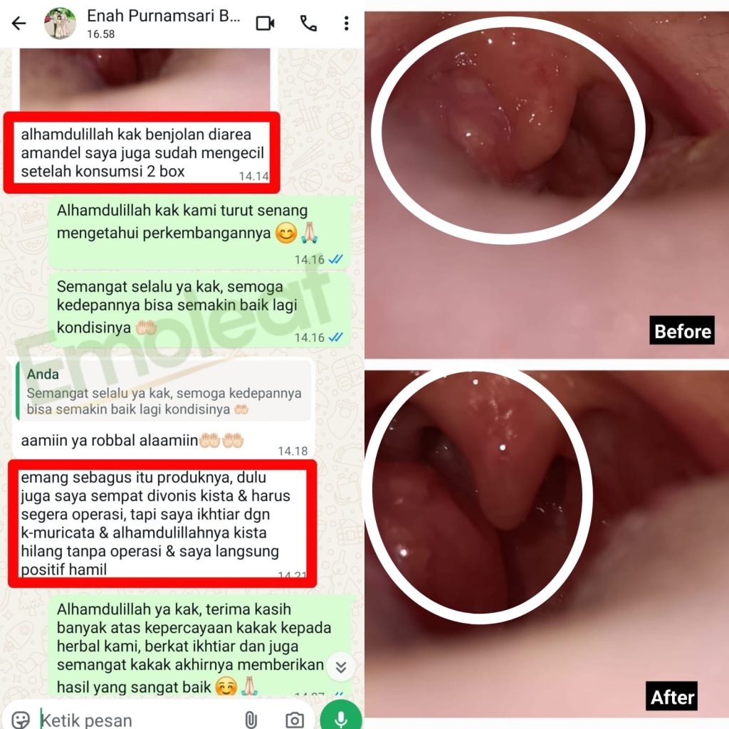 WhatsApp-Image-2026-01-13-at-15.20.12-1-1-1024x1024